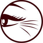 An eye with lines and wrinkles